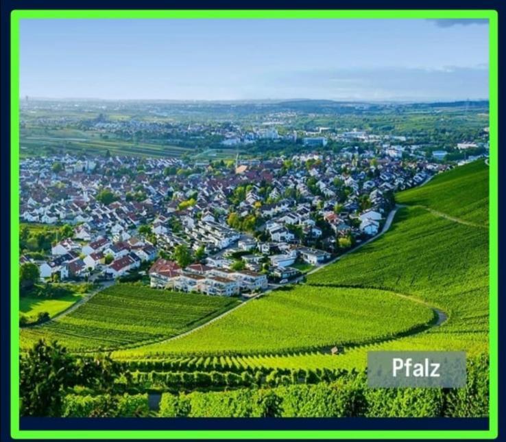 Ferienwohnung Forest & Wein Neustadt an der Weinstraße Szoba fotó